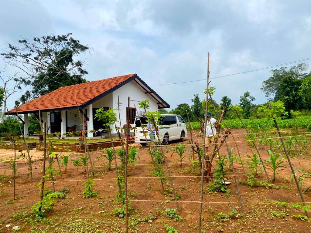 Moni Farm House Wilpattu Nochchiyagama Exteriör bild