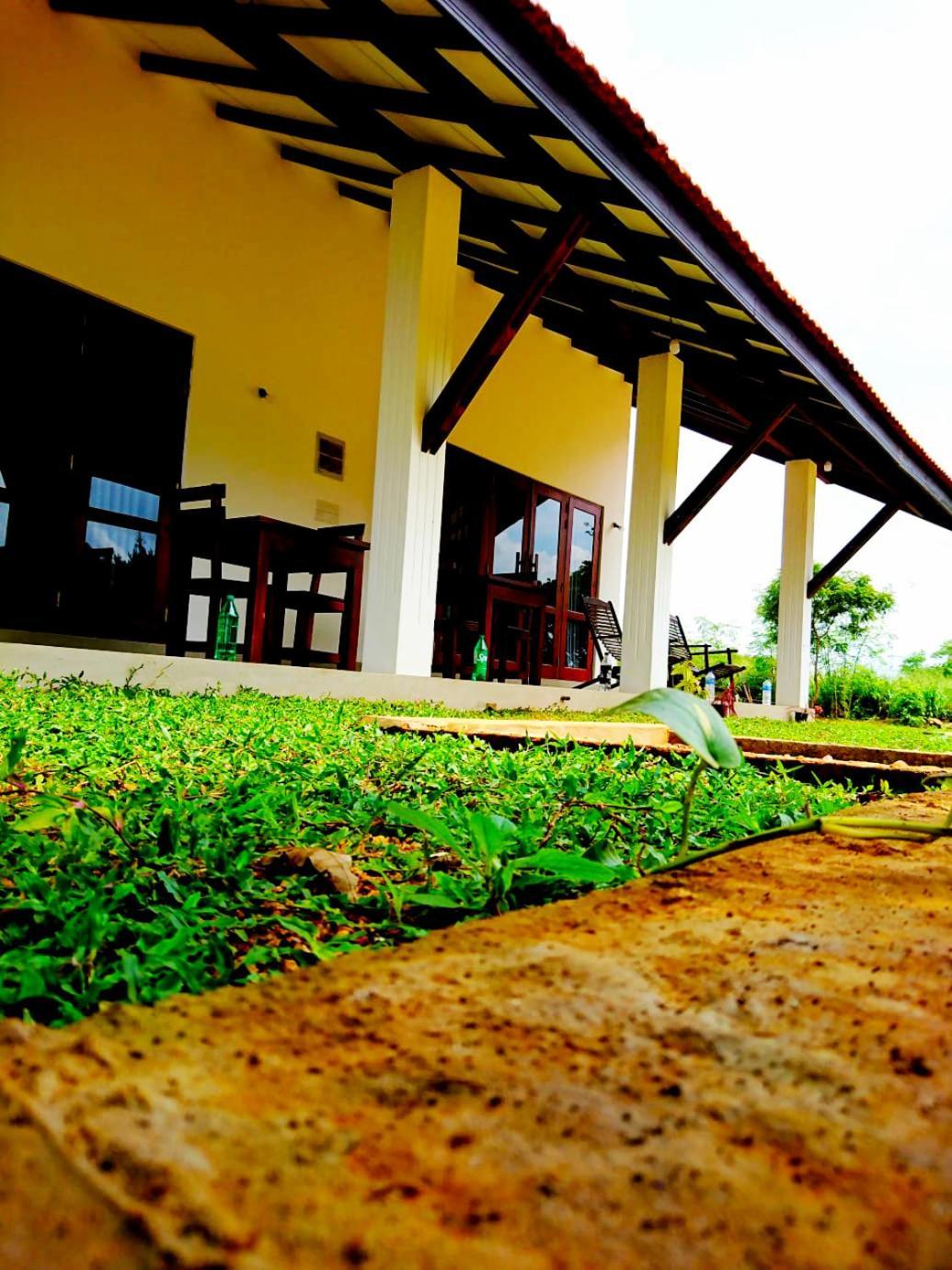 Moni Farm House Wilpattu Nochchiyagama Exteriör bild