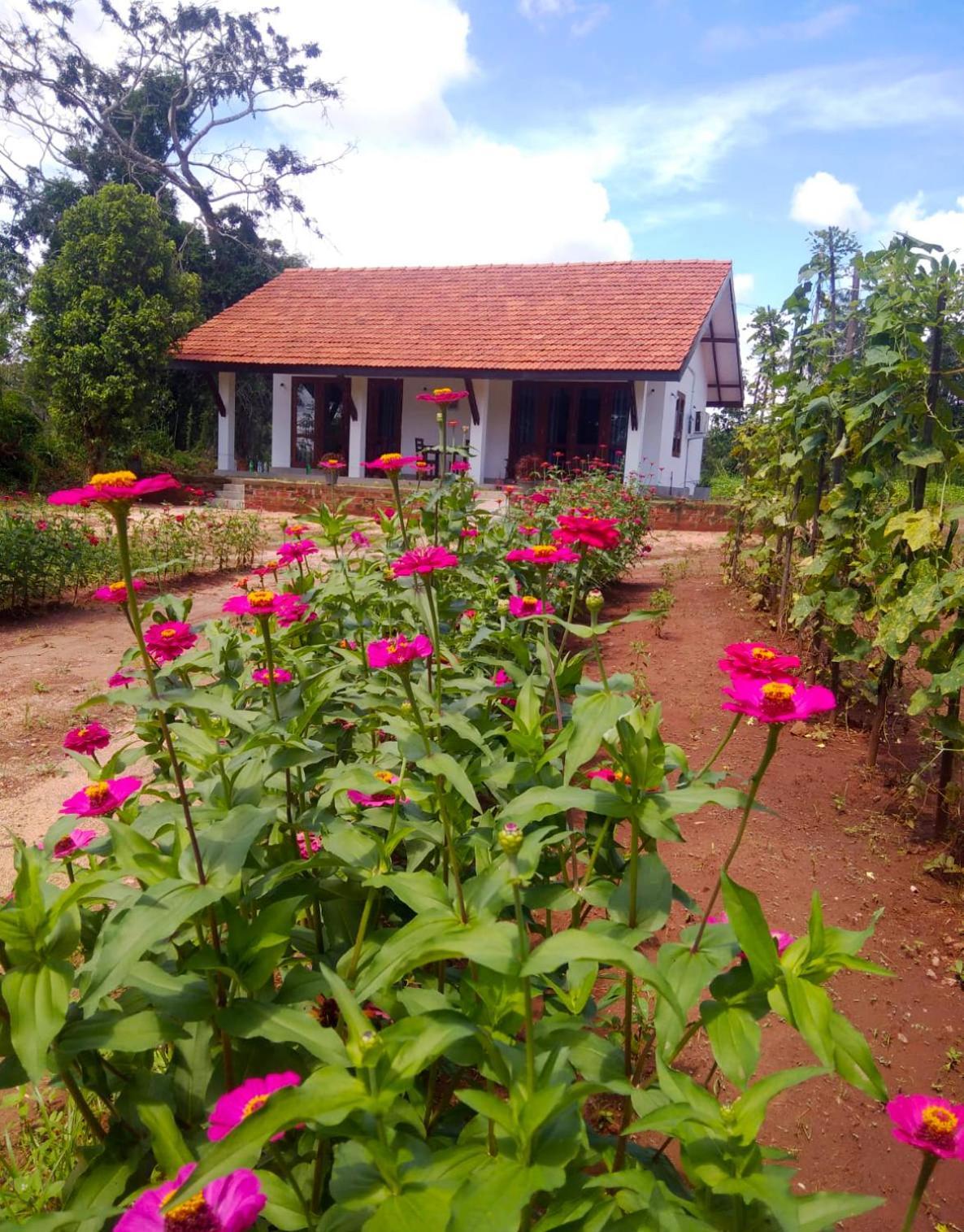Moni Farm House Wilpattu Nochchiyagama Exteriör bild