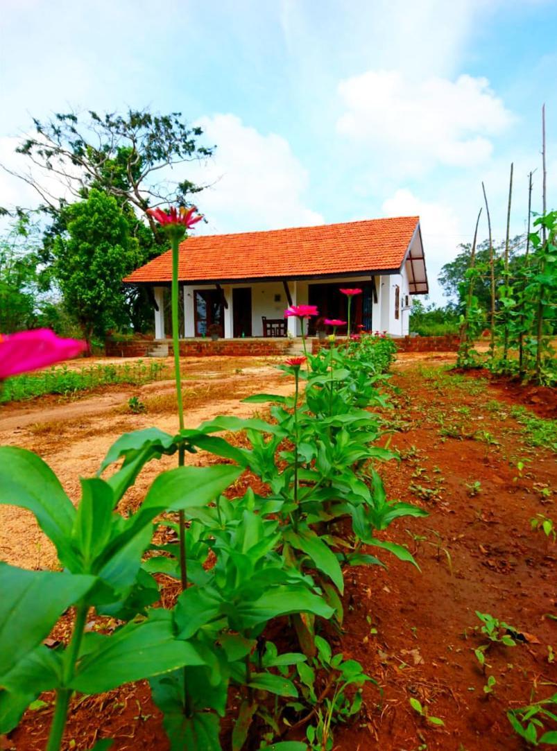 Moni Farm House Wilpattu Nochchiyagama Exteriör bild