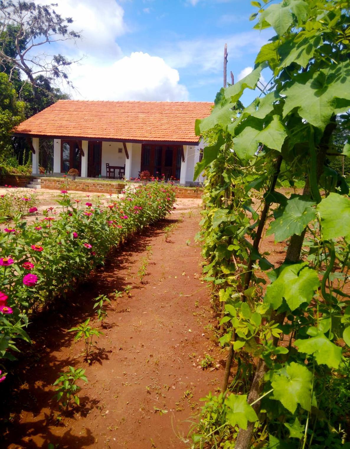 Moni Farm House Wilpattu Nochchiyagama Exteriör bild