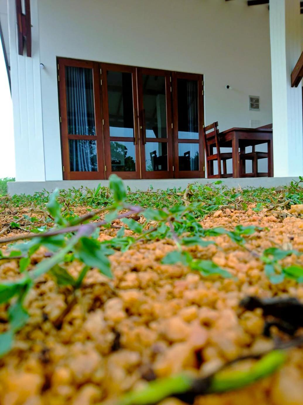 Moni Farm House Wilpattu Nochchiyagama Exteriör bild